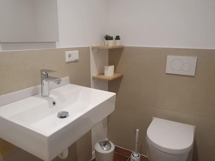 Apartment-Top Lage Koeln Hürth Εξωτερικό φωτογραφία